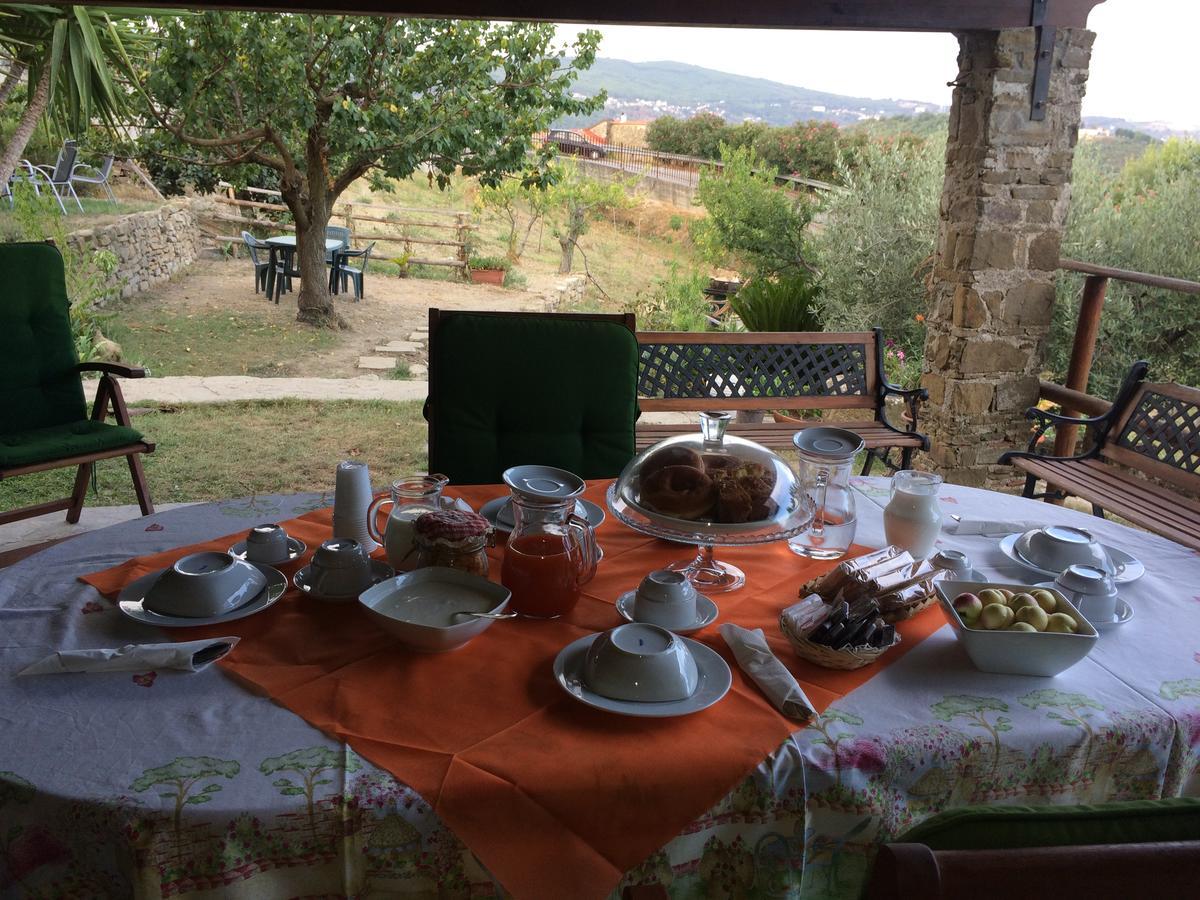 Pozzo Medievale Prignano Cilento Exteriör bild
